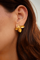 Aretes Anturio