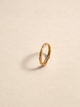 Anillo Doble Palo Pino Dorado Talla 8