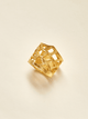 Anillo Atarraya