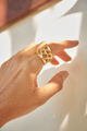Anillo Atarraya
