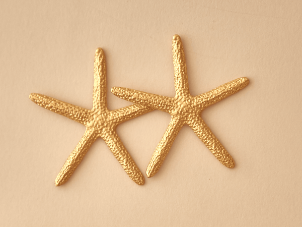 Aretes Estrella De Mar