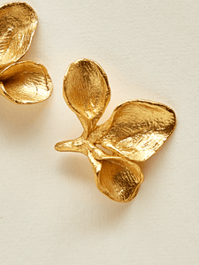 Aretes Anturio