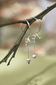 Aretes Gancho Plata ley 950 Popurri Agata Redonda Gris Blanco