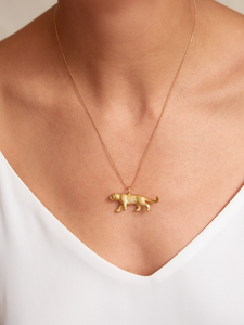 Collar Tigre