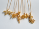 Collar Tigre