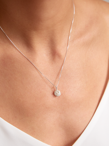 Collar Jardín Piña Plata