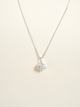 Collar Jardín Carbonero Plata
