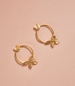 Aretes Midi Racimo Hojitas Circulo Dorado