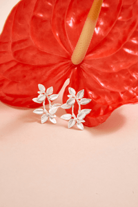 Aretes Topos Doble Racimo Hojitas Plateados