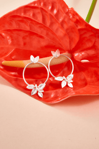Aretes Midi Racimo Hojitas Circulo Plateados
