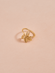 Anillo Racimo Hojitas Talla 5 Dorado
