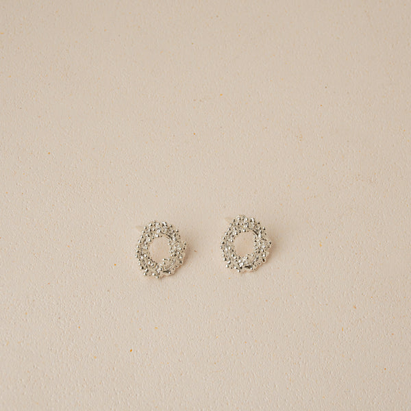 Aretes Circulo Helecho Plata Ley 950