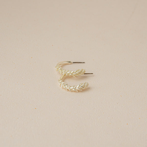Aretes candongas suculenta punticas Plateada