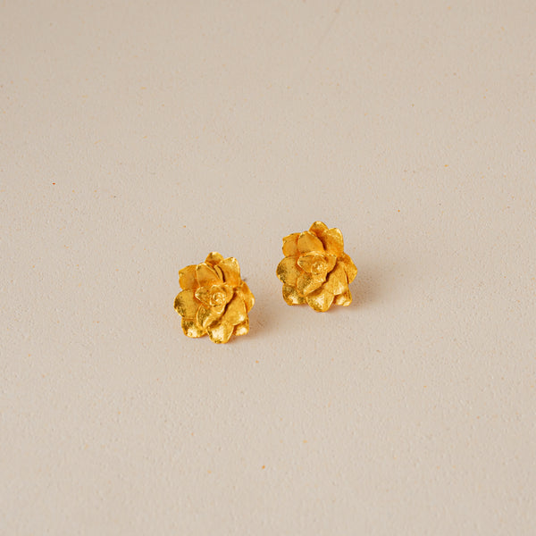 Aretes Suculenta