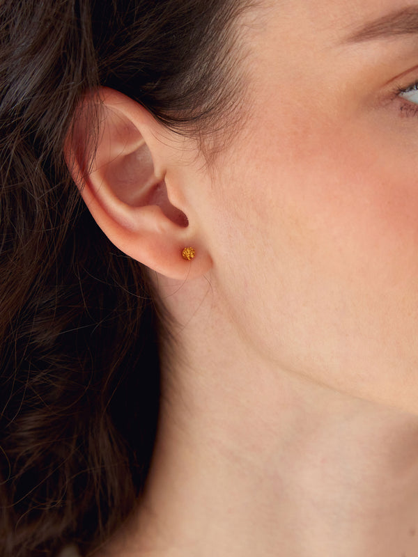 Aretes mini suculentica baño oro