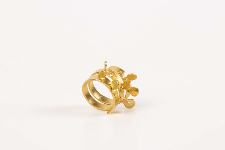 Anillo Semillas Sagradas - Pilú Joyería. Joyas y accesorios con diseños exclusivos
