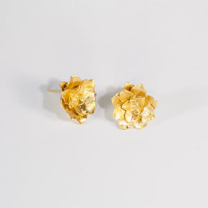 Aretes Suculenta