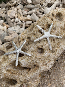 Aretes Estrella de Mar baño de Plata - Pilú Joyería. Joyas y accesorios con diseños exclusivos