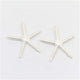 Aretes Estrella de Mar baño de Plata - Pilú Joyería. Joyas y accesorios con diseños exclusivos