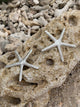 Aretes Estrella de Mar baño de Plata - Pilú Joyería. Joyas y accesorios con diseños exclusivos