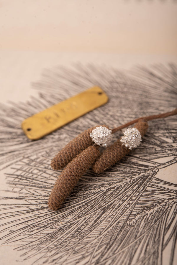 Aretes Jardín Pino Plata Ley 950