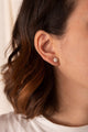 Aretes Jardín Pino Plata Ley 950