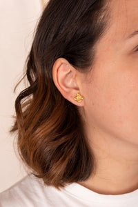 Aretes Jardín Guayabo