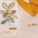 Aretes Jardín Guayabo Plata Ley 950