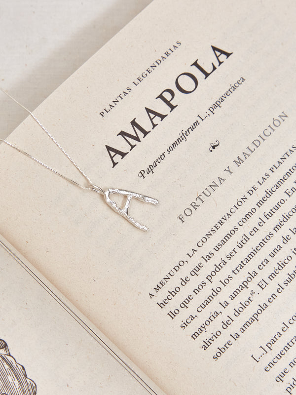 Collar A Alfabeto Natural Plata