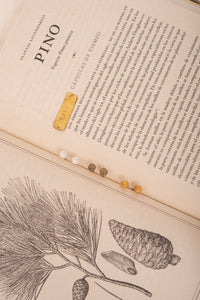 Aretes Jardín Pino Plata Ley 950